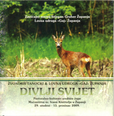 Divlji svijet